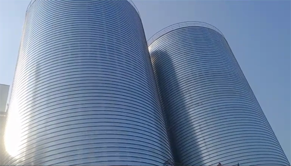 疏勒2座混凝土高架卷板仓